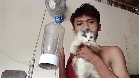 Kami menyarankan para pecinta binatang lucu untuk tidak menonton video melalui tautan Kucing di Blender di sini karena ini sangat ekstrim. Kejadian sangat …